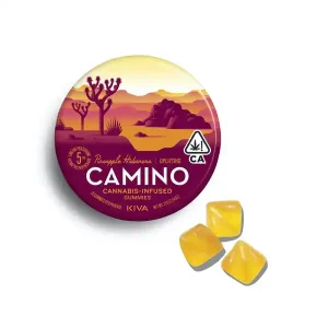 Camino Pineapple Habanero āUpliftingā Gummies