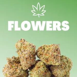 Buy THC Flower Australia