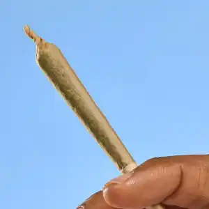 Buy THC Pre-Rolls Australia