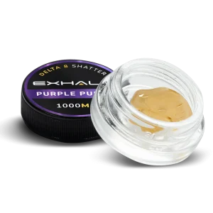 SHATTER – PURPLE PUNCH