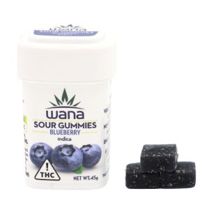 Blueberry Gummies 10pk [100mg]