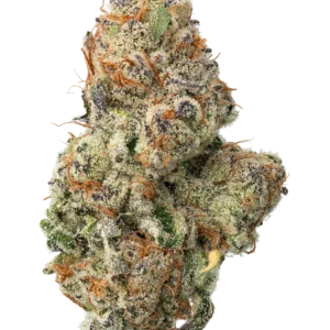 White Widow Strain Australia