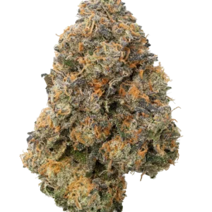 Think Tank Strain Australia