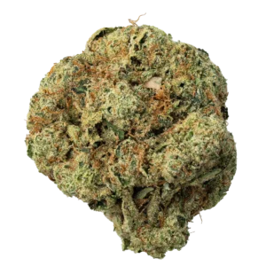 Garlic Blossom Strain Australia