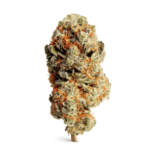 Cheddar Cheese Strain Australia