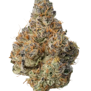 Strawberry Cough Strain Australia