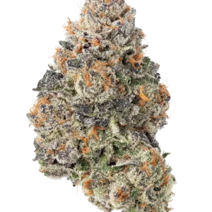 Gorilla Cookies Strain Australia