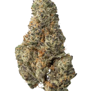 Alpine Sunrise Strain Australia