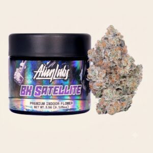 BK Satellite Strain Australia