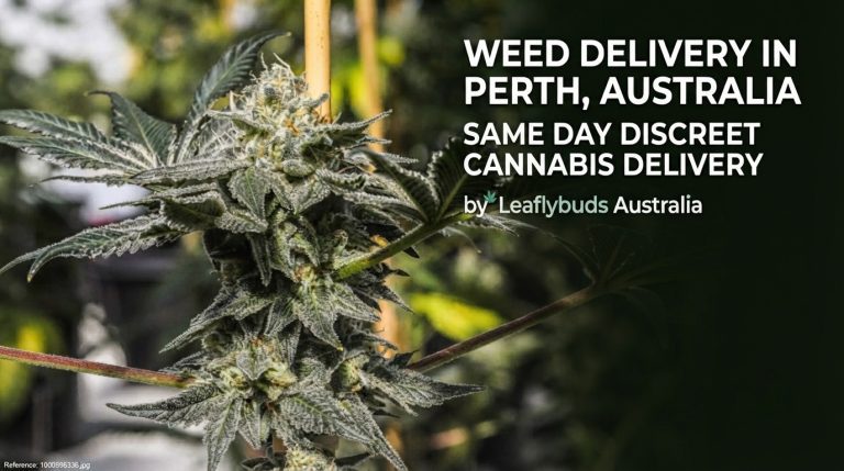 Weed Delivery in Perth, Australia | Same Day Discreet Cannabis Delivery by Leaflybuds Australia