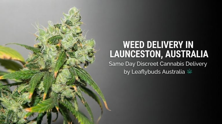 Weed Delivery in Launceston, Australia | Same Day Discreet Cannabis Delivery by Leaflybuds Australia