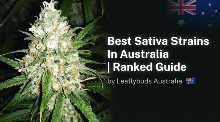 Best Sativa Strains In Australia | Ranked Guide by Leaflybuds Australia