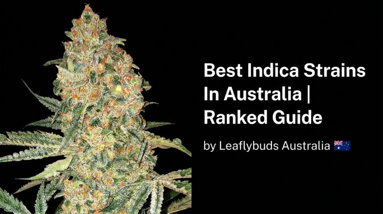 Best Indica Strains In Australia | Ranked Guide by Leaflybuds Australia