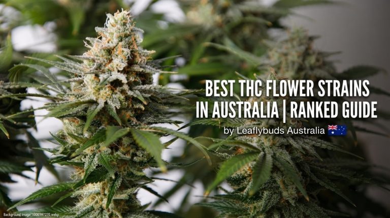 Best THC Flower Strains In Australia | Ranked Guide by Leaflybuds Australia