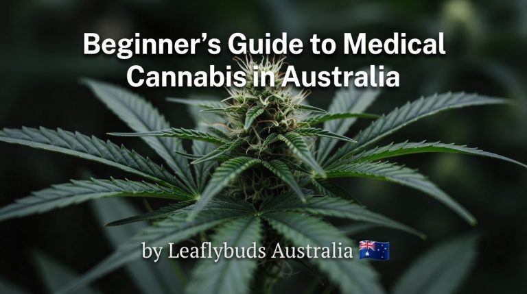 Beginner's Guide to Medical Cannabis in Australia by Leaflybuds Australia