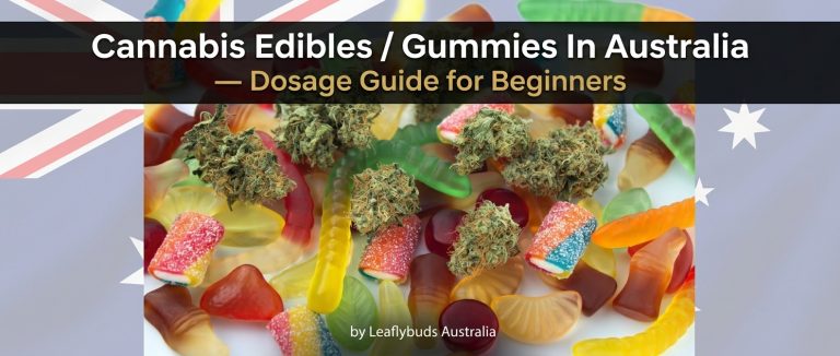 Cannabis Edibles / Gummies In Australia — Dosage Guide for Beginners by Leaflybuds Australia