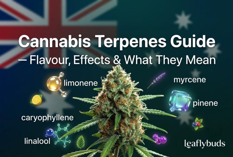 Cannabis Terpenes Australia · Complete Guide Cannabis Terpenes Australia — Flavour, Effects & What They Mean