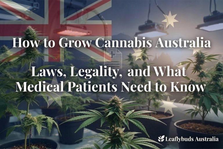 How to Grow Cannabis In Australia— Laws, Legality and Medical Patients Guide