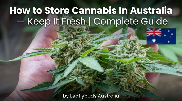 How to Store Cannabis In Australia — Keep It Fresh | Complete Guide by Leaflybuds Australia
