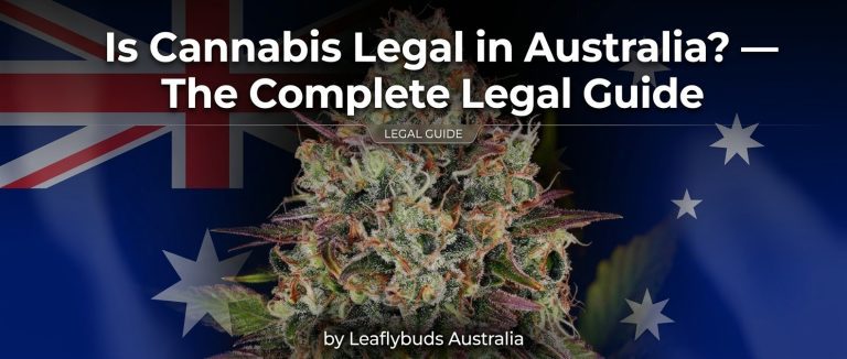 Is Cannabis Legal in Australia? — The Complete Legal Guide by Leaflybuds Australia