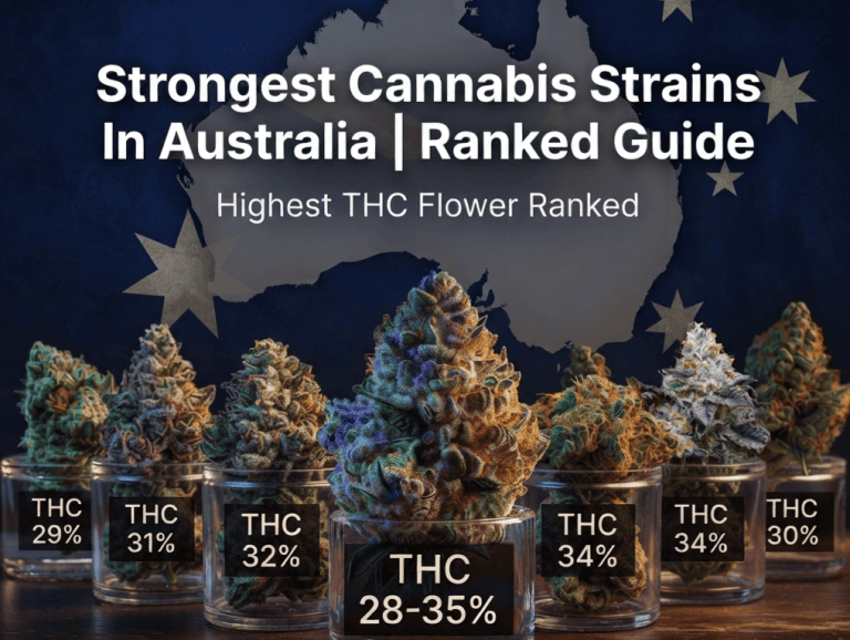Strongest Cannabis Strains In Australia | Ranked Guide by Leaflybuds Australia