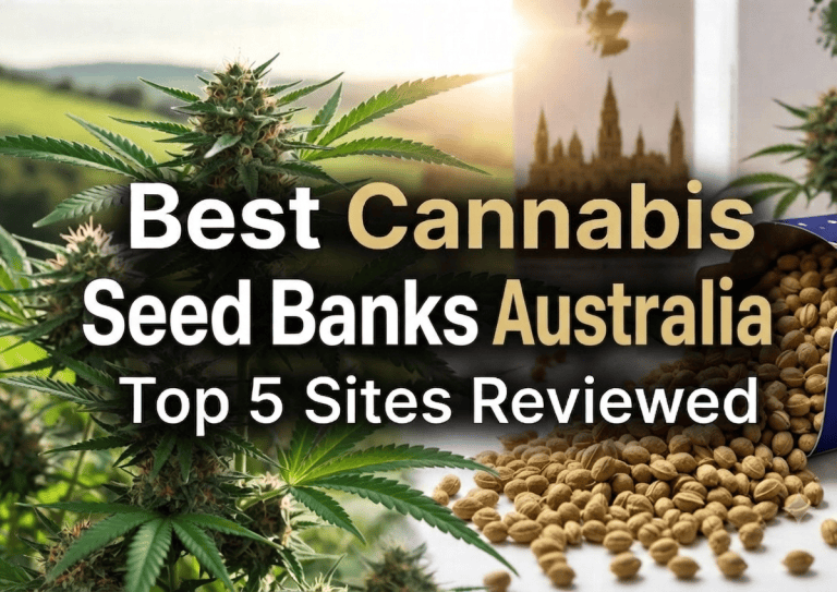 Best Cannabis Seed Banks Australia — Top 5 Sites Reviewed & Compared