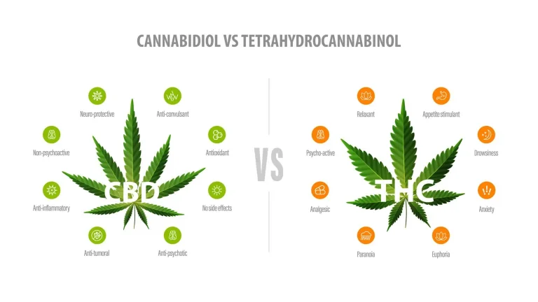 THC vs CBD Australian Guide